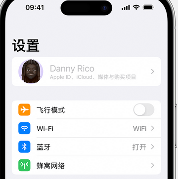 通海口镇appleID维修服务iPhone设置中Apple ID显示为灰色无法使用 