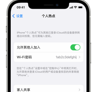 通海口镇apple服务站点分享iPhone上个人热点丢失了怎么办