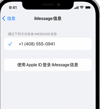 通海口镇apple维修iPhone上无法正常发送iMessage信息 