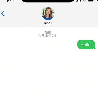 通海口镇apple维修iPhone上无法正常发送iMessage信息