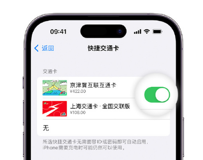 通海口镇apple维修点分享iPhone上更换Apple Pay快捷交通卡手绘卡面 