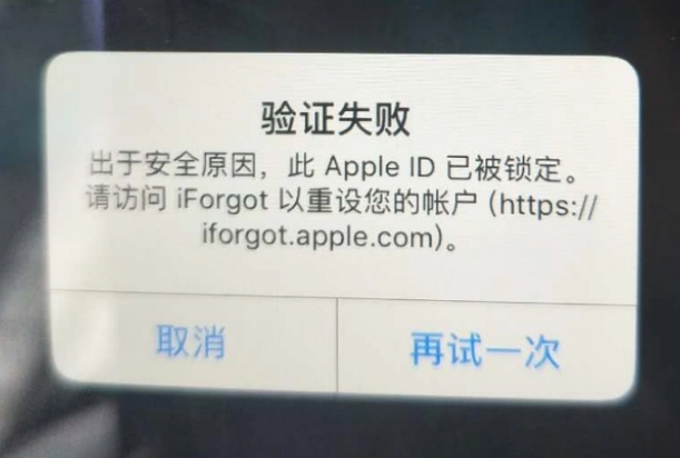 通海口镇iPhone维修分享iPhone上正常登录或使用AppleID怎么办 