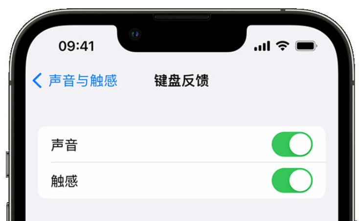 通海口镇苹果手机维修分享iPhone 14触感键盘使用方法 