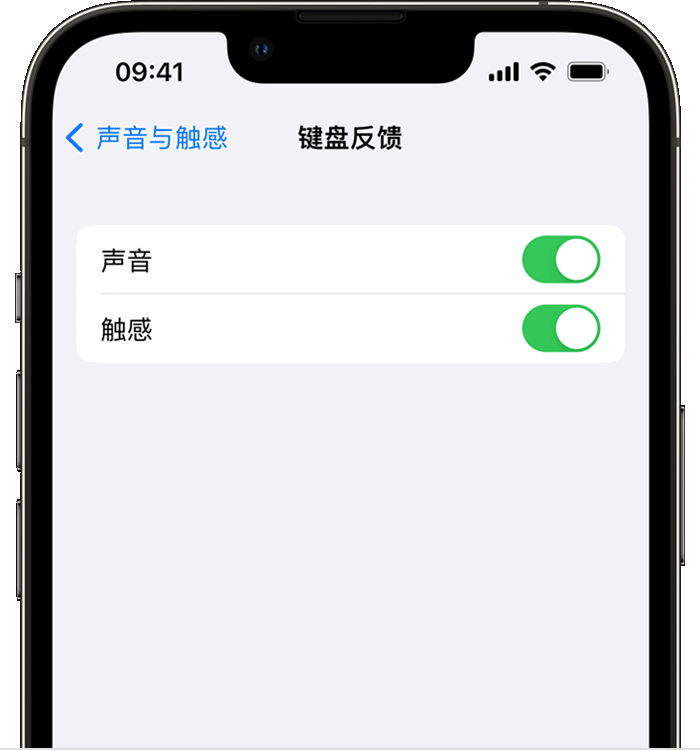 通海口镇苹果14维修店分享如何在 iPhone 14 机型中使用触感键盘 