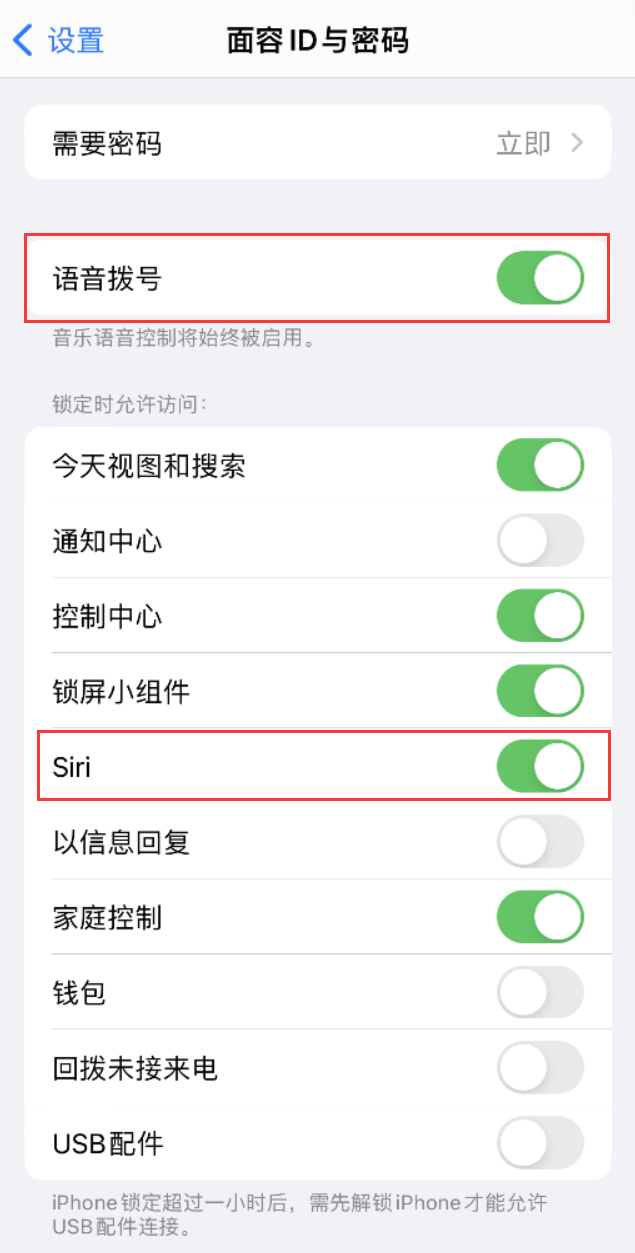 通海口镇苹果维修网点分享不解锁 iPhone 的情况下通过 Siri 拨打电话的方法 