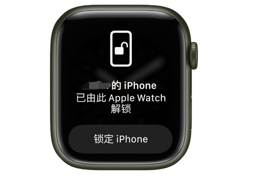 通海口镇苹果手机维修分享用 AppleWatch 解锁配备面容 ID 的 iPhone方法 