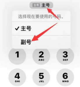 通海口镇苹果14维修店分享iPhone 14 Pro Max使用副卡打电话的方法 