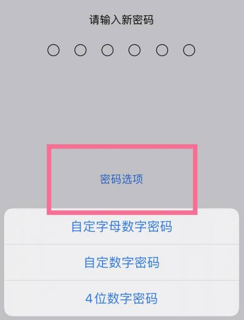 通海口镇苹果14维修分享iPhone 14plus设置密码的方法 