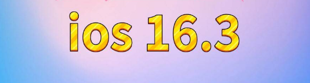 通海口镇苹果服务网点分享苹果iOS16.3升级反馈汇总 