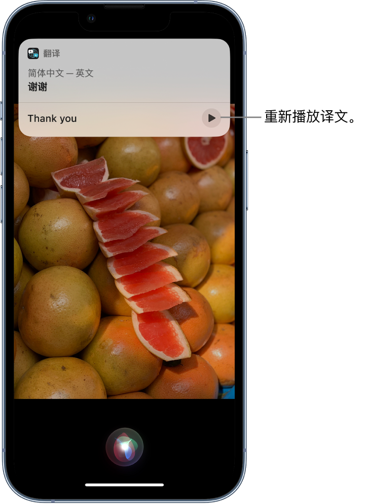 通海口镇苹果14维修分享 iPhone 14 机型中使用 Siri：了解 Siri 能帮你做什么 