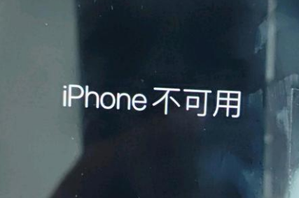 通海口镇苹果服务网点分享锁屏界面显示“iPhone 不可用”如何解决 