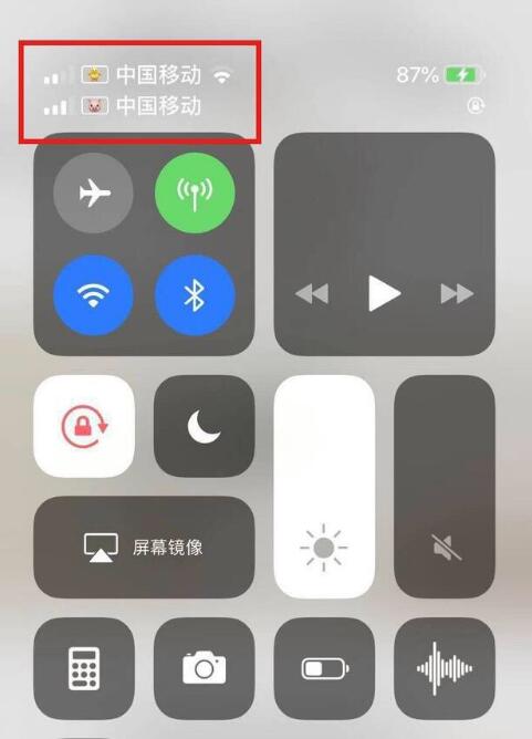 通海口镇苹果手机维修分享为 iPhone 12 双卡设置标签 